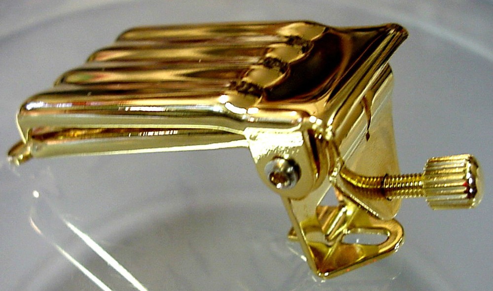 GOLD SPRING ACTION COVER + TAILPIECE FOR 5 STRING BANJO
