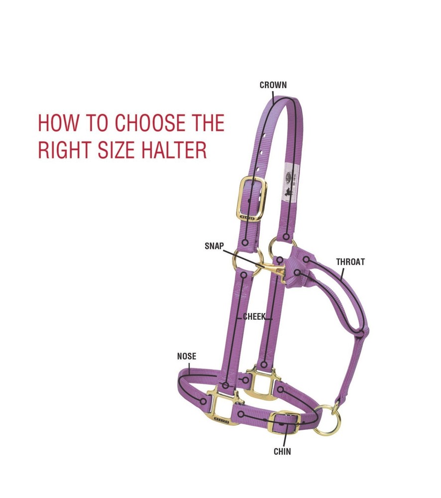 Original Non-Adjustable Halter , 1" Black