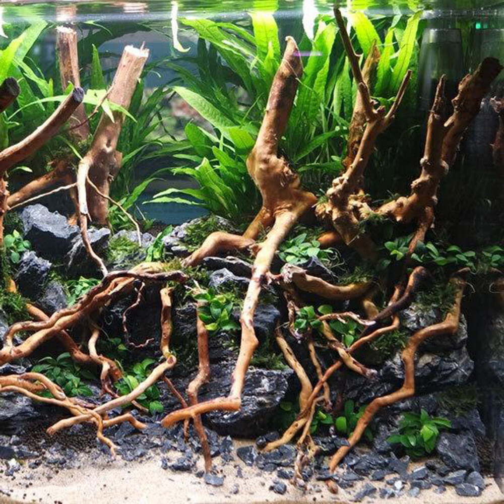 US Natural Driftwood Aquarium Root Trunk Tree Fish Tank Landscape Plant Roots