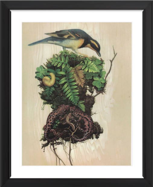 Tiffany Bozic image: Frame it