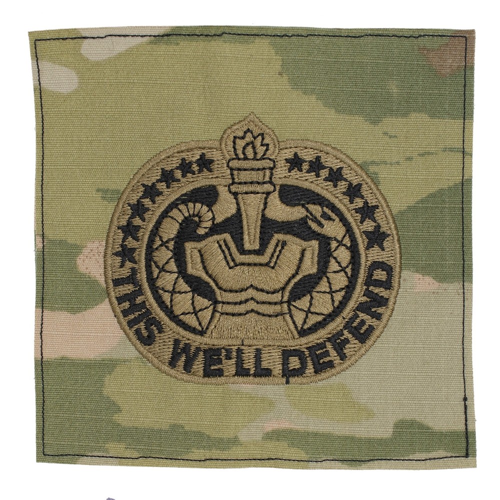 US Army Drill Sergeant (Instruct) OCP Sew-on Badge