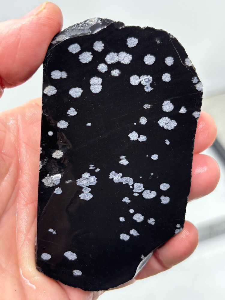 Snowflake Obsidian Slab Lapidary Cabbing Knapping Combo ship avail