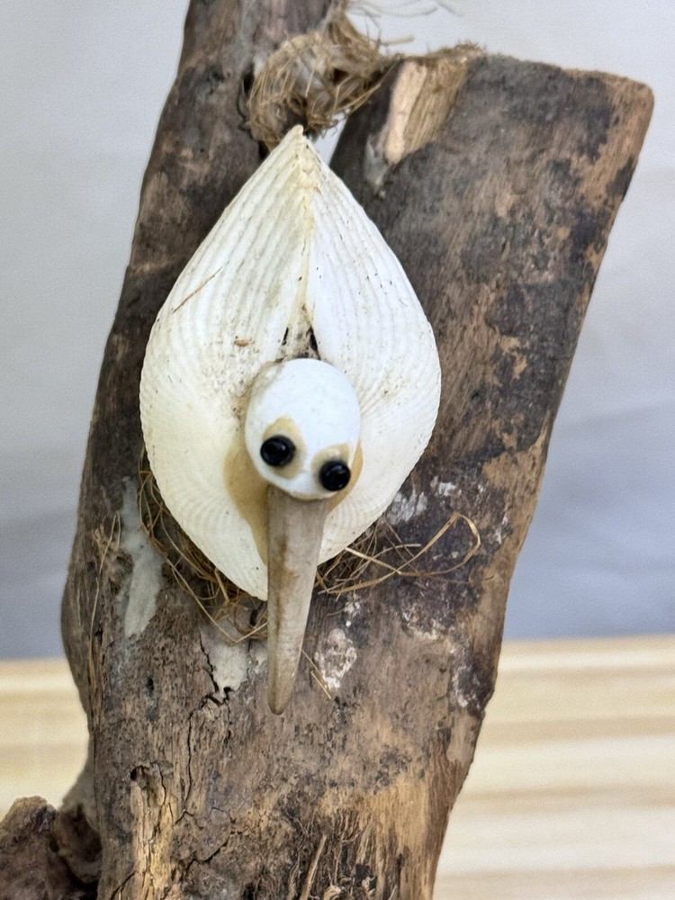 Handmade Seashell Seagulls Sitting on Driftwood