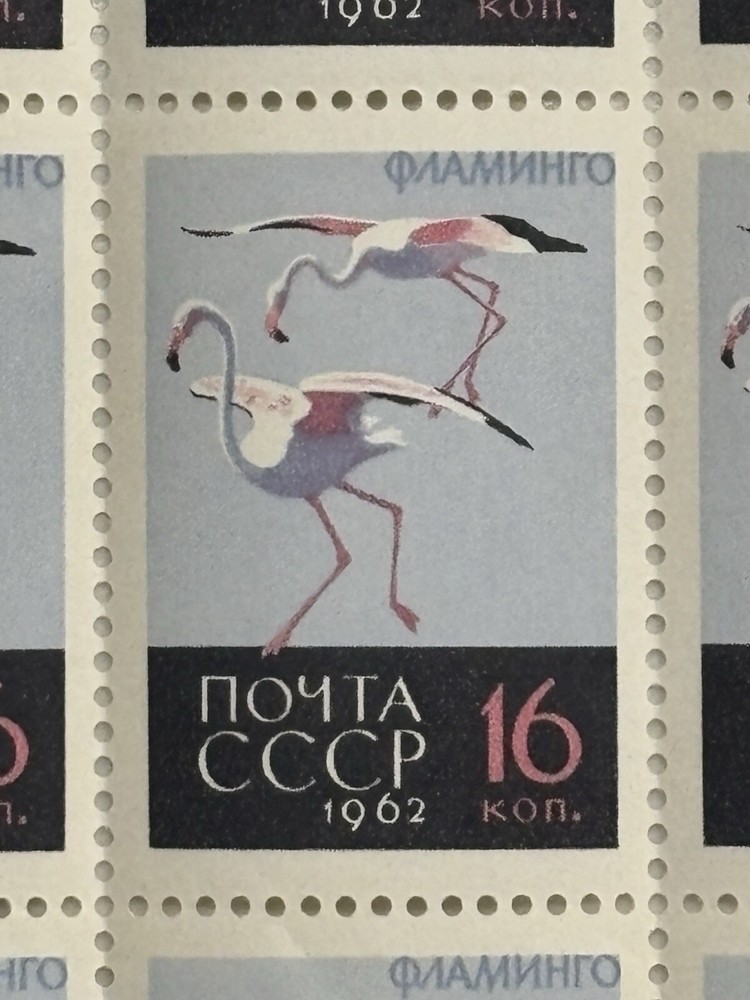 💌Stamps Flamingo MNH Sheet 25 x Post USSR 1962 Почта ССР Фламинго