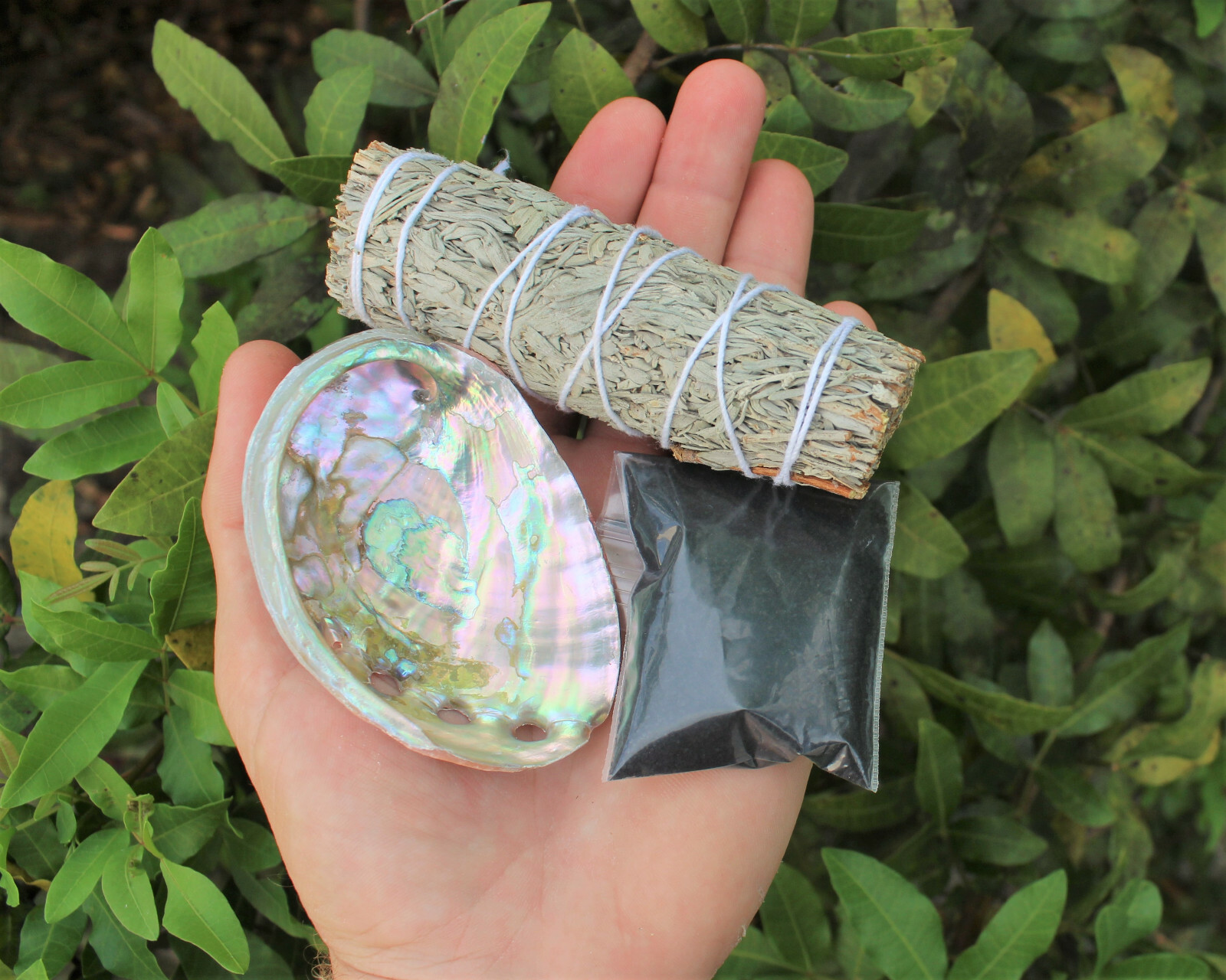 Sage Smudge Kit: Blue Sage, Mini Abalone Shell, Black Salt & Smudging Directions