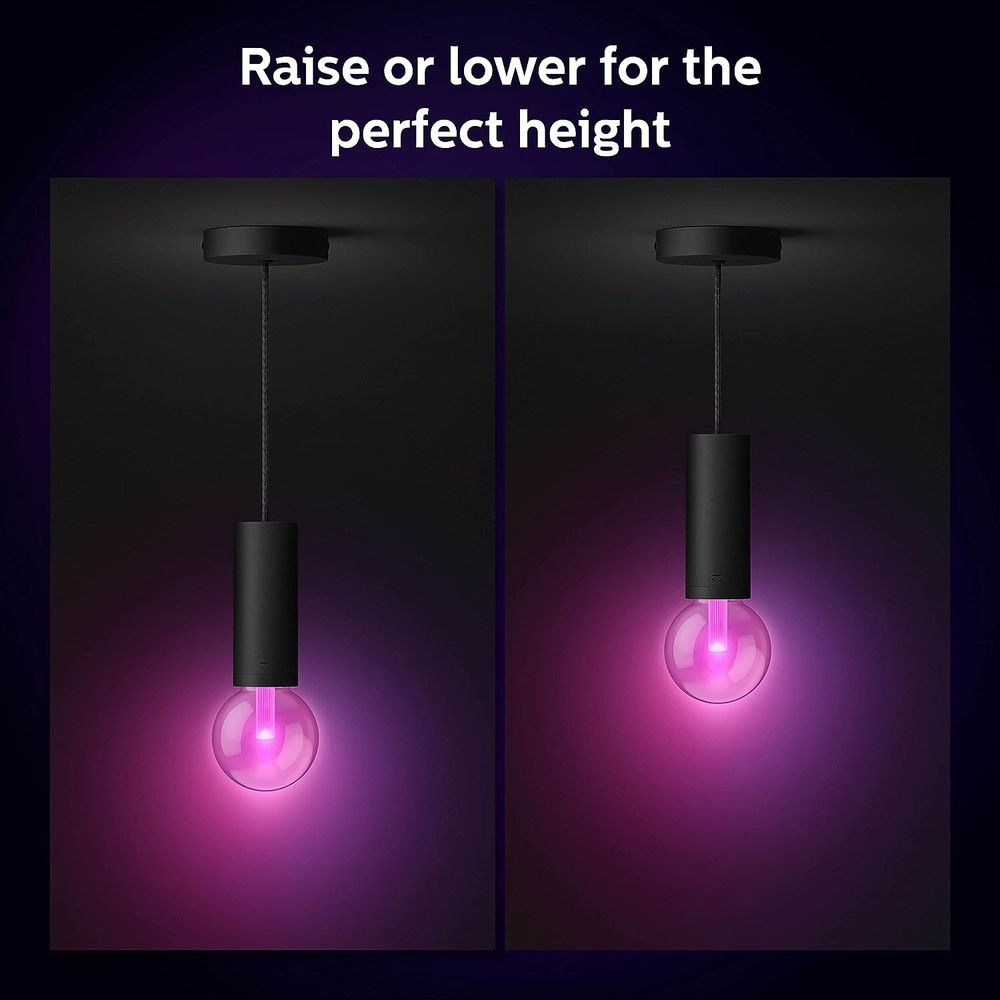 Philips Hue Black Cord E27 Light Guide