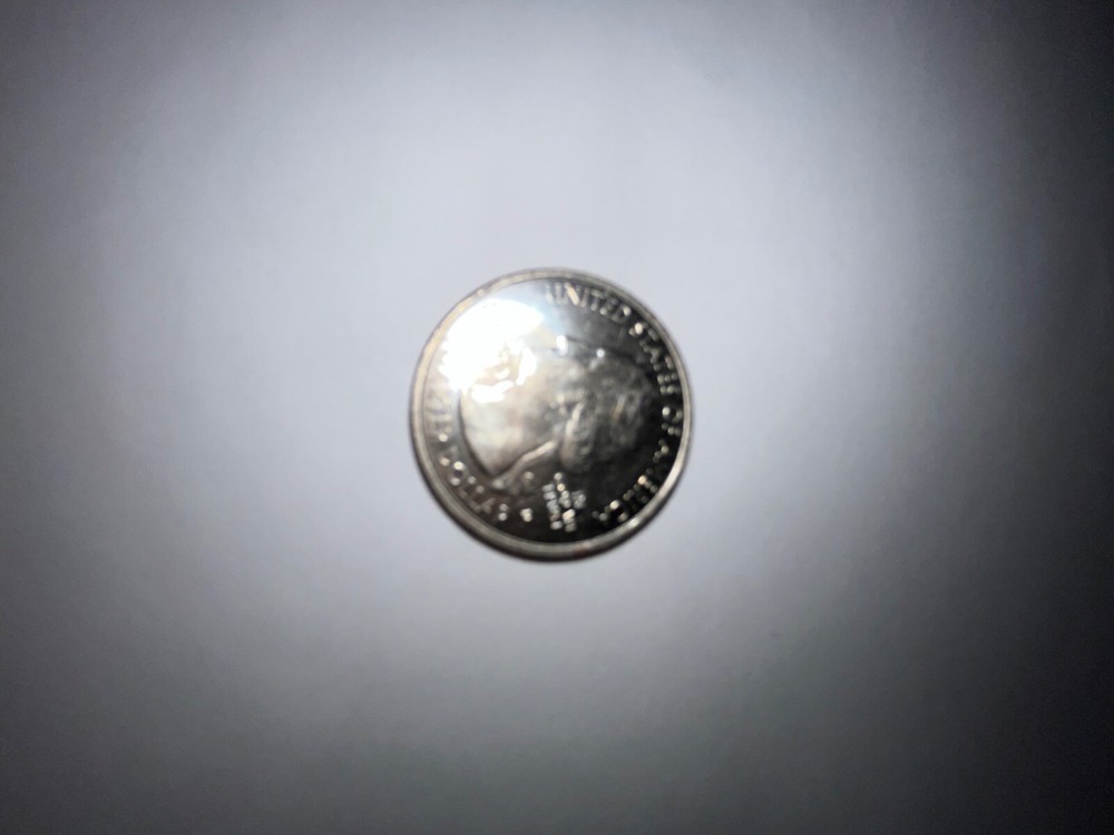 2020 Rare Samora Bat Quarter