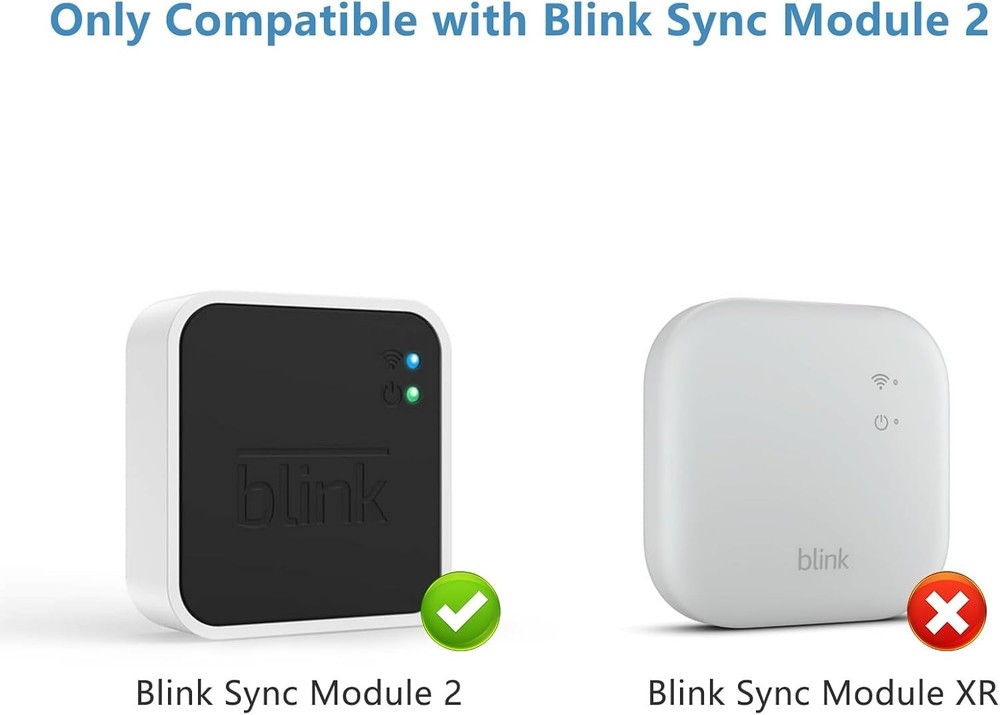 2-Pack 256GB Blink USB Flash Drive with Convenient Outlet Mount for Easy Setup