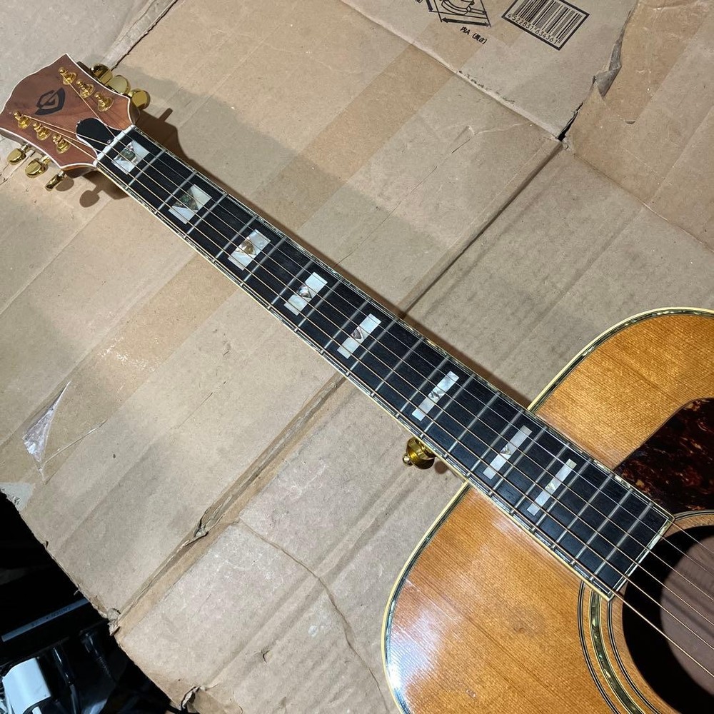 Mysterious Domestic Guild Model