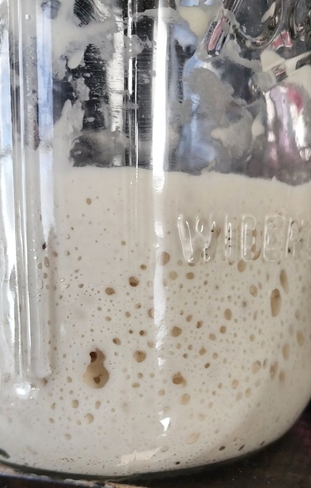 Dehydrated Sourdough Starter Baking Agent 15g