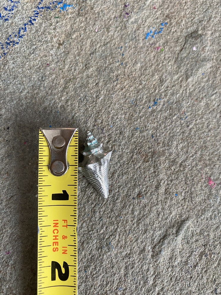 Decorative Object Seashell Silver Tone