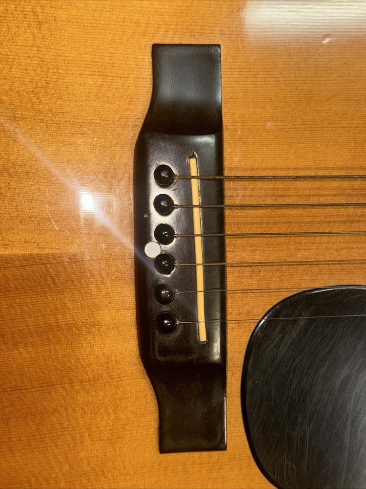 Conqueror Classical 6 String Guitar W/Hard Case