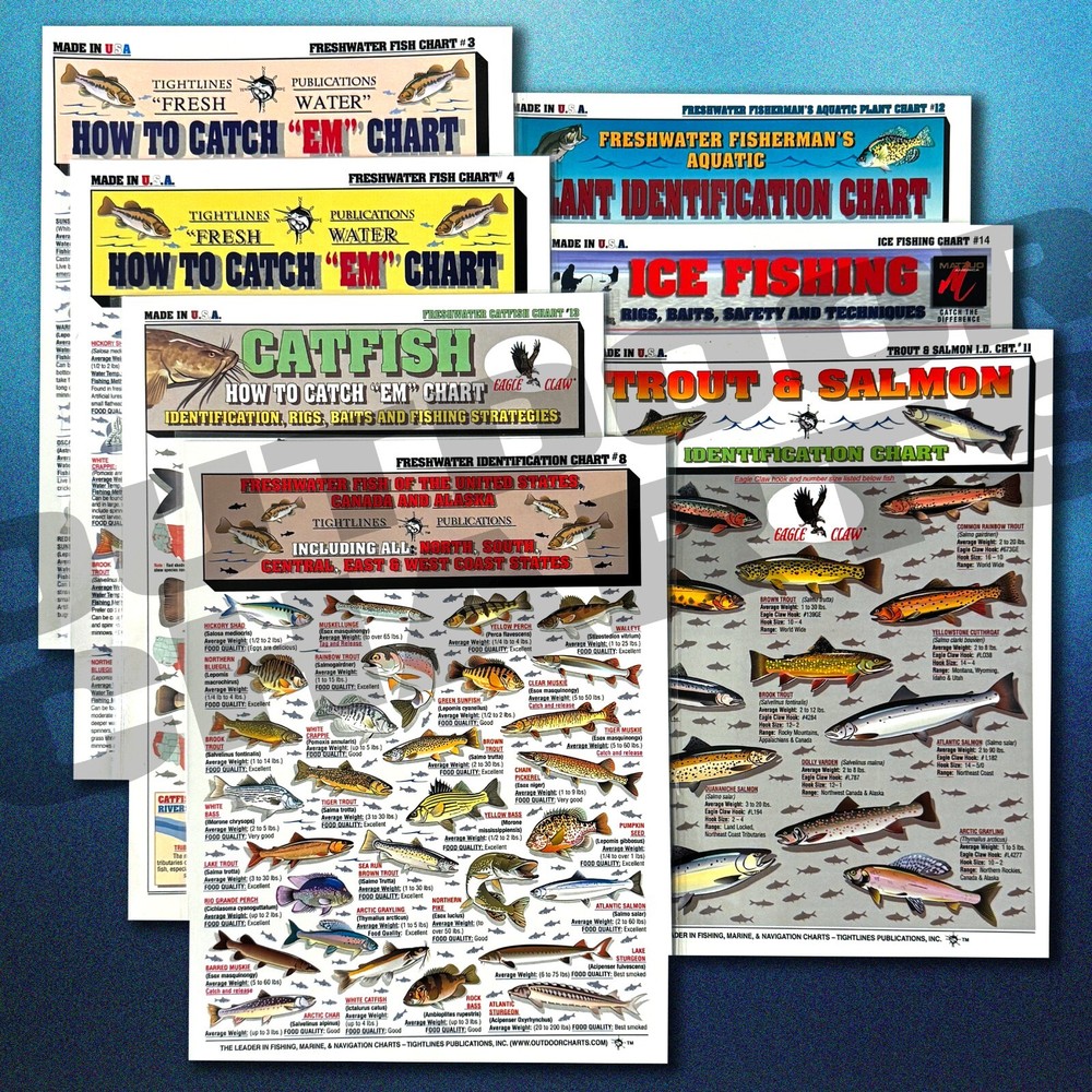 Fishermans Freshwater Fish Identification Set - Waterproof Quick Reference Guide