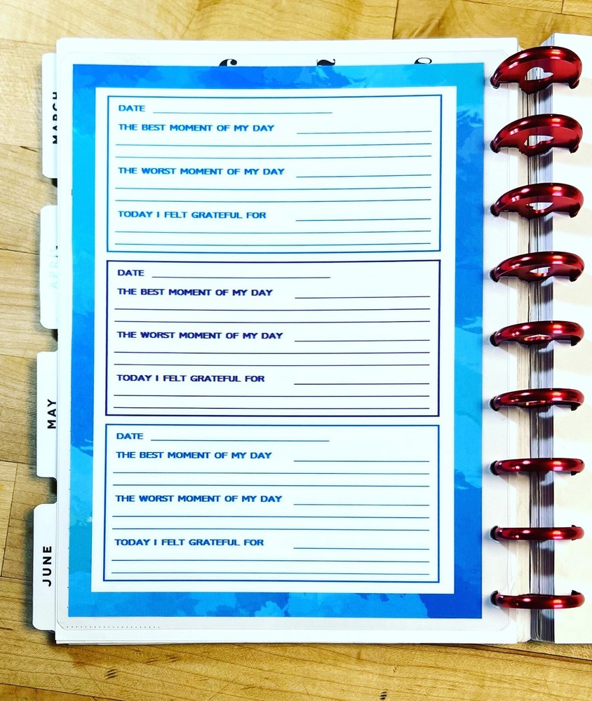 Gratitude Log Dashboard Insert 4 use with HAPPY Planner-