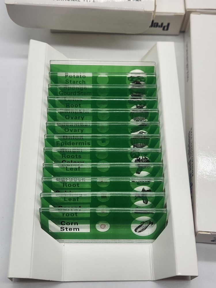 DIY-Science Prepared‎ Slides Educational Type - 48 Plastic Microscope Slides