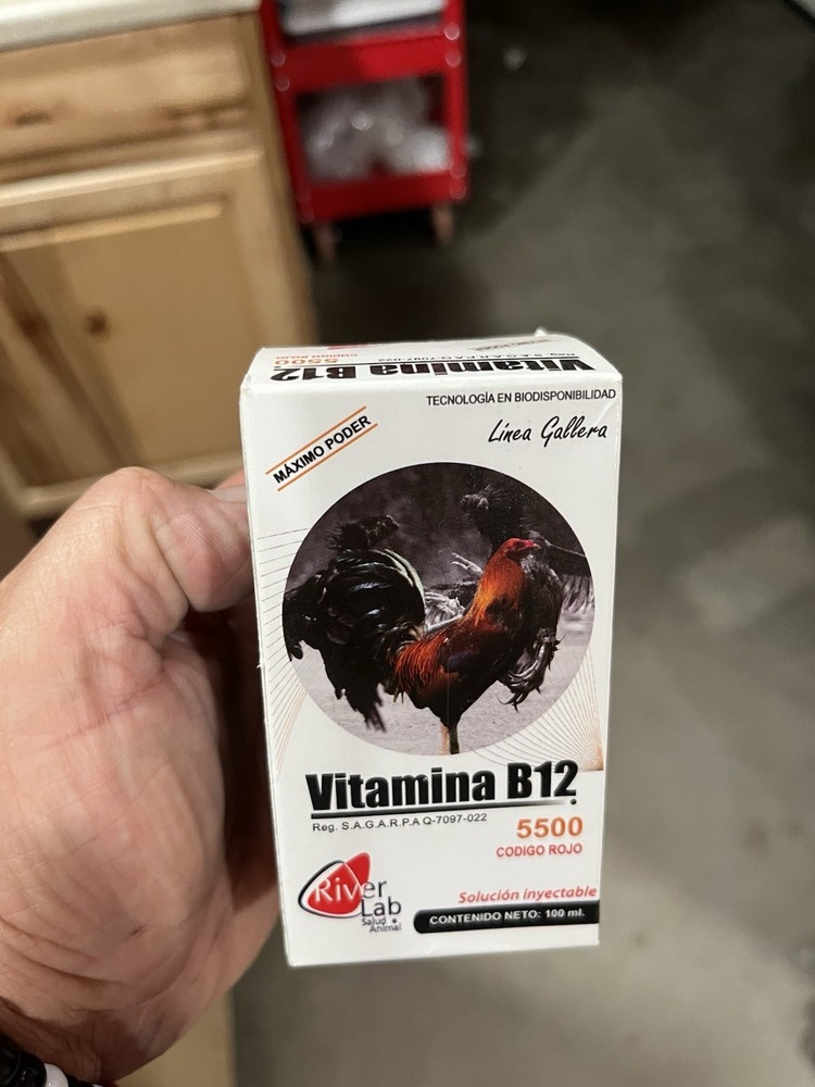 5500 Vitamina Hatching Eggs , poultry
