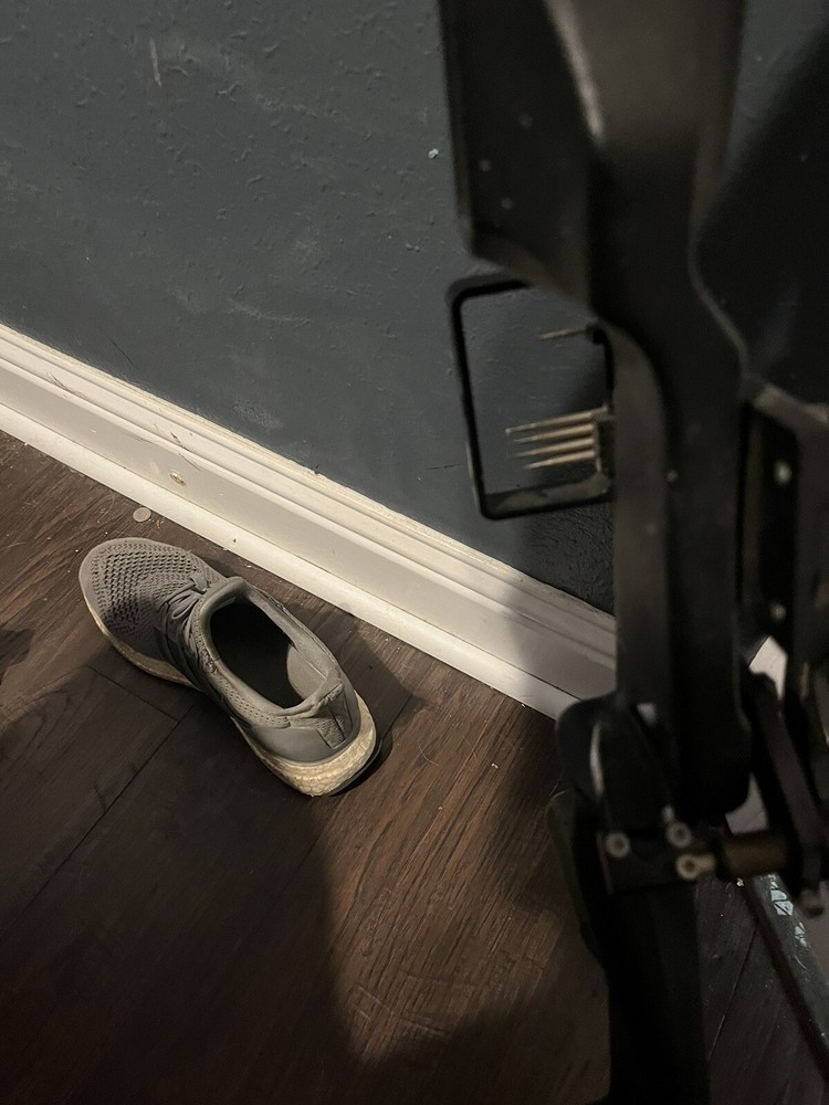 BEAR panther el 50lb compound bow