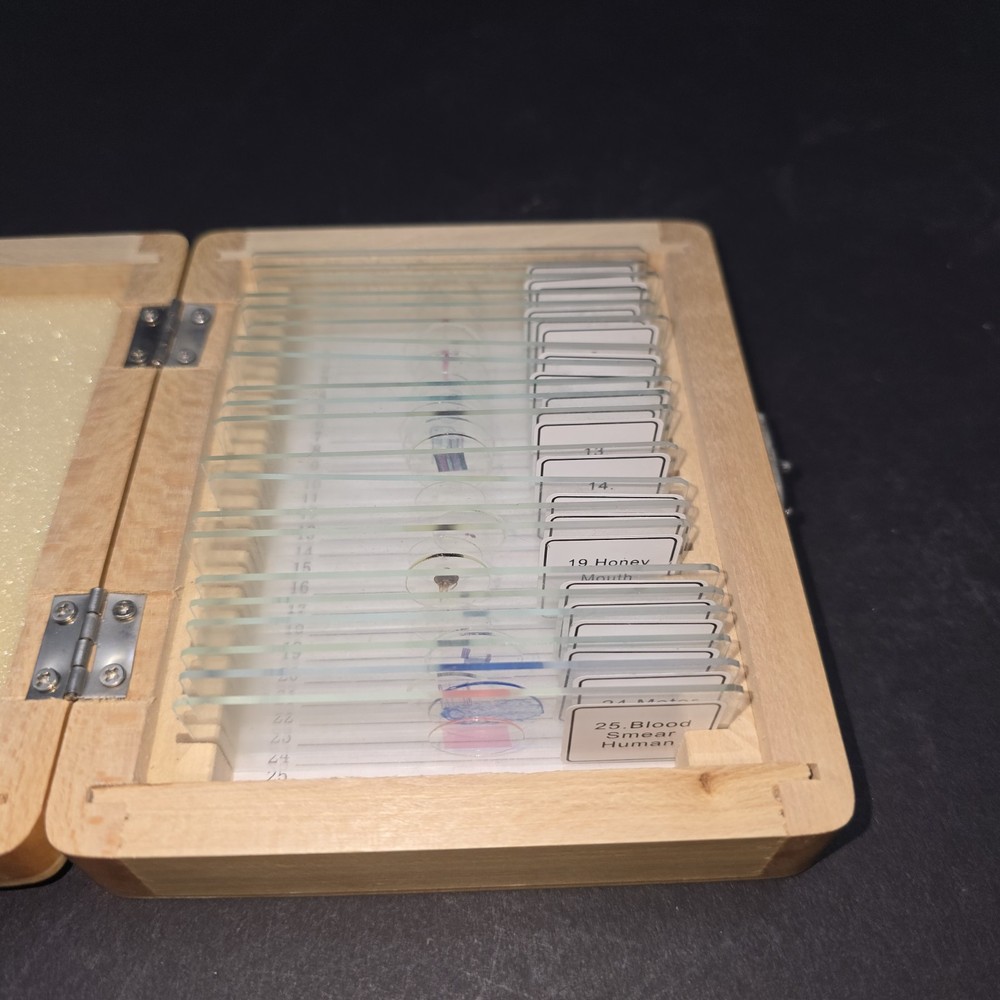 Celestron #44410 Prepared Slides 21 Count Science Microscope