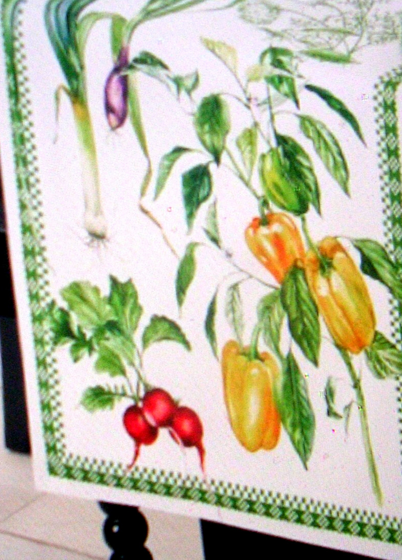 WILLIAMS SONOMA VEGETABLE TABLE RUNNER TWILL WEAVE COTTON 16X108 REVERSIBLE NWTG