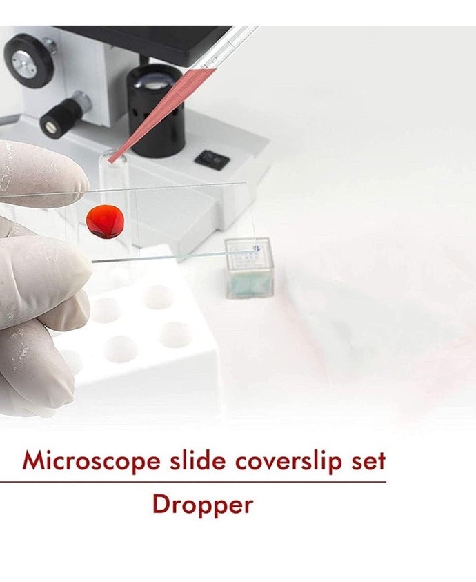 Microscope Slide and Cover Set (50 Ct.)