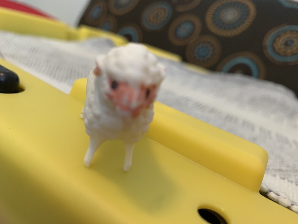 Plastic White Sheep. Number 915.