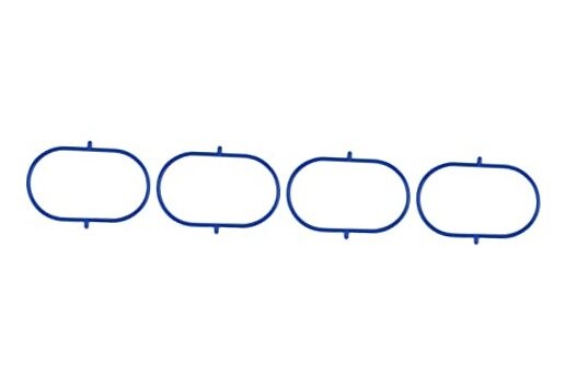 MS 97519 Intake Manifold Gasket Set