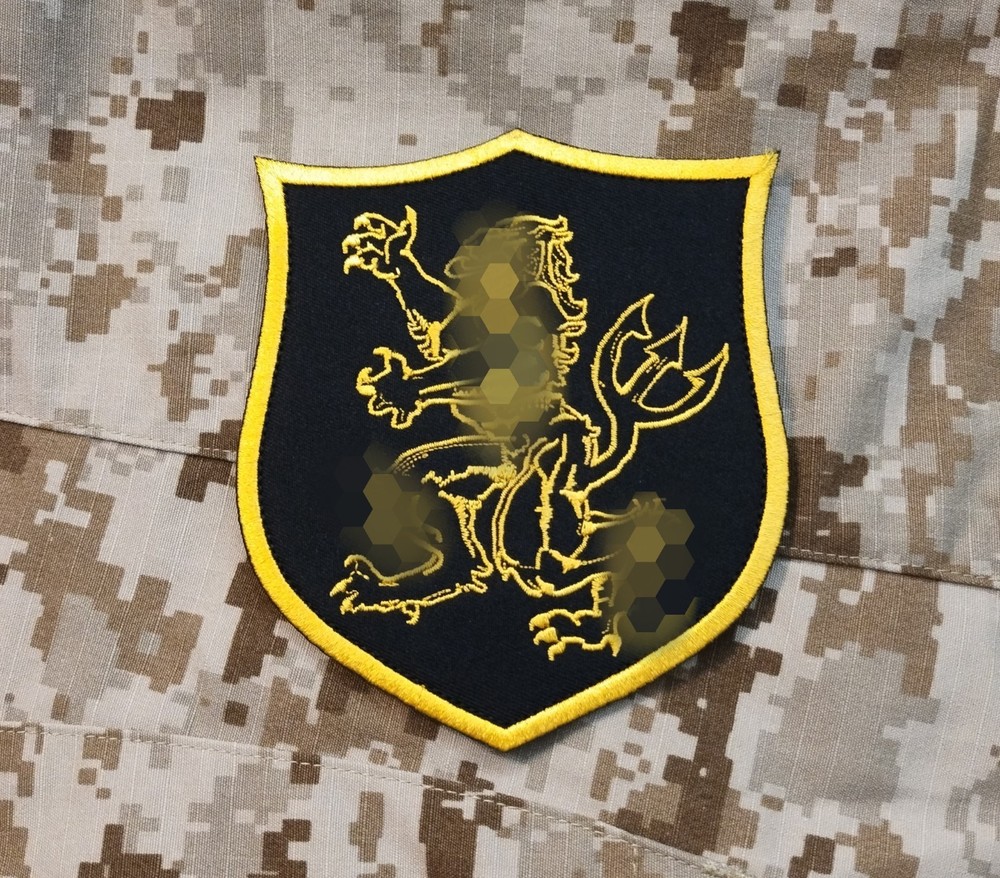 NSWDG DevGru Gold SQN Xtra Oversize Shadowbox Patch