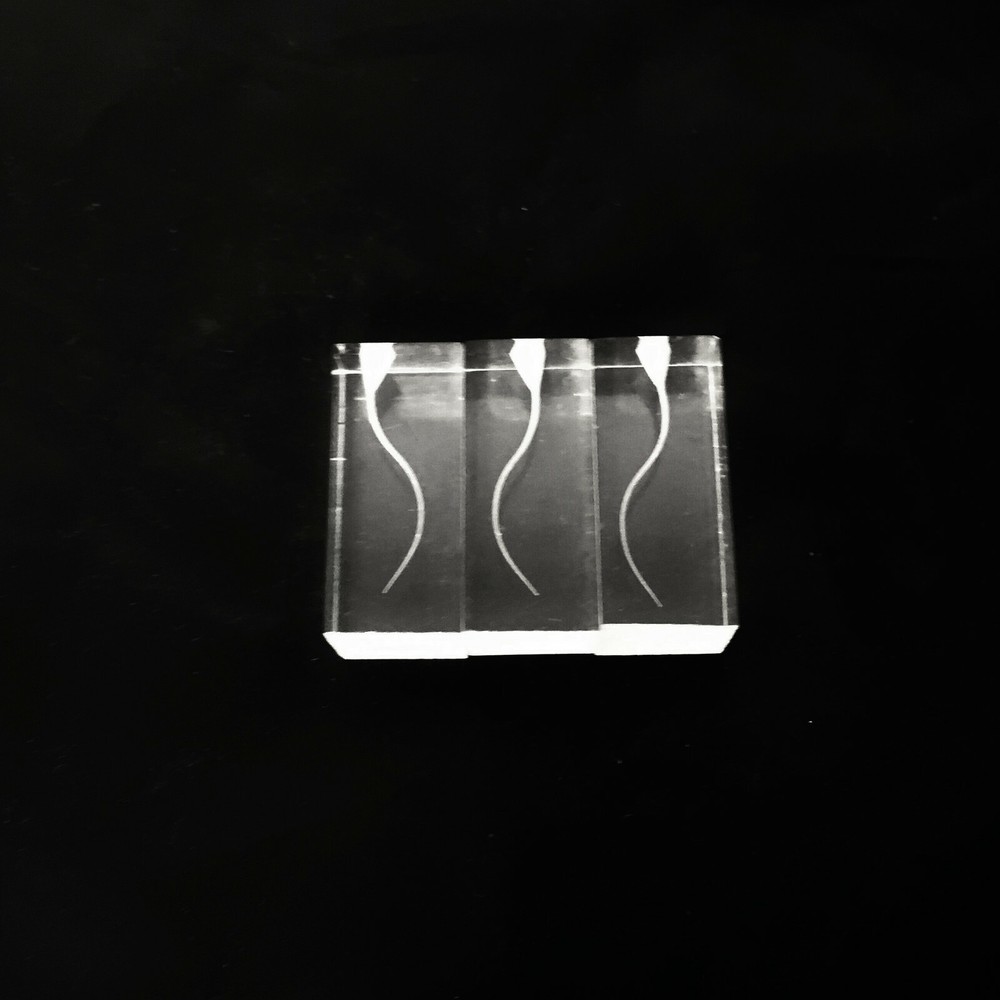 Dental Transparent S Type Endo Training Blocks Root Canal Files Practice Model