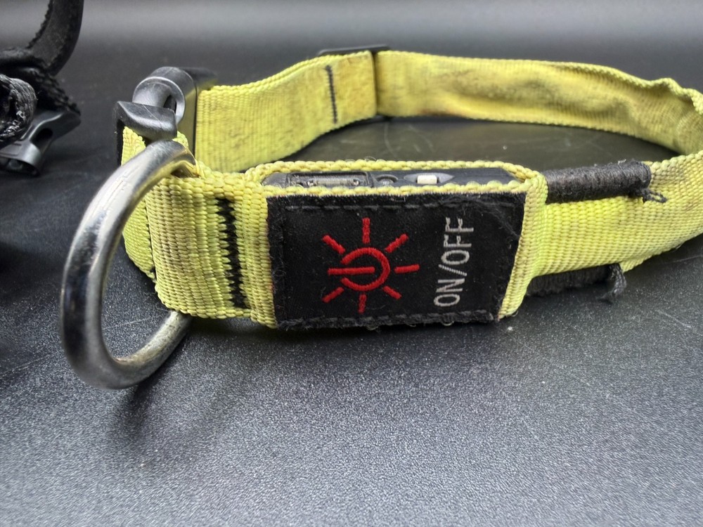 Baskerville Ultra Muzzle Size 3 + Two Dog Collars Bundle – Used, As-Is Pet Gear