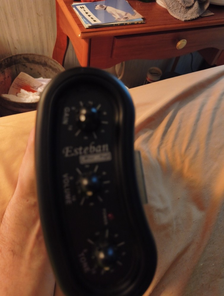 Esteban MiniAmp / Mini Amp Model Untested