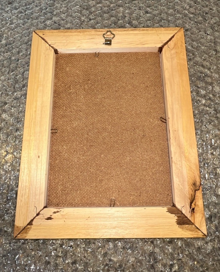 VTG Real Pressed Flower Specimens Framed With Glass Folk Art Wall Hanging Signed