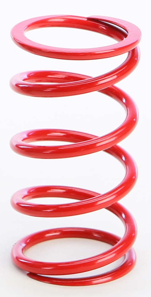 Primary Clutch Spring - Style: Clutch Springs
