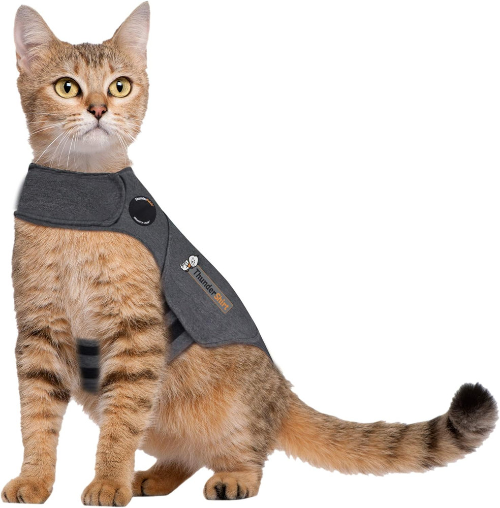for Cats, Grey, Large ( 13 Lbs)