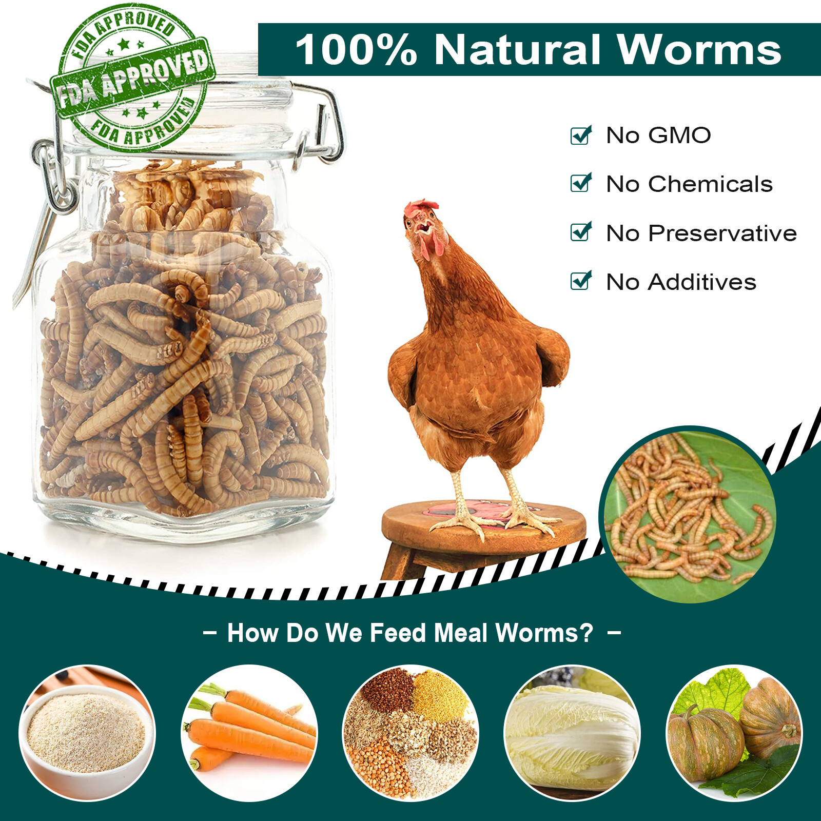 Dried Mealworms Bulk Non-GMO Organic for Wild Blue Bird Food Chickens Hen Treats