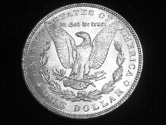 1899 Morgan Dollar --- Choice Uncirculated