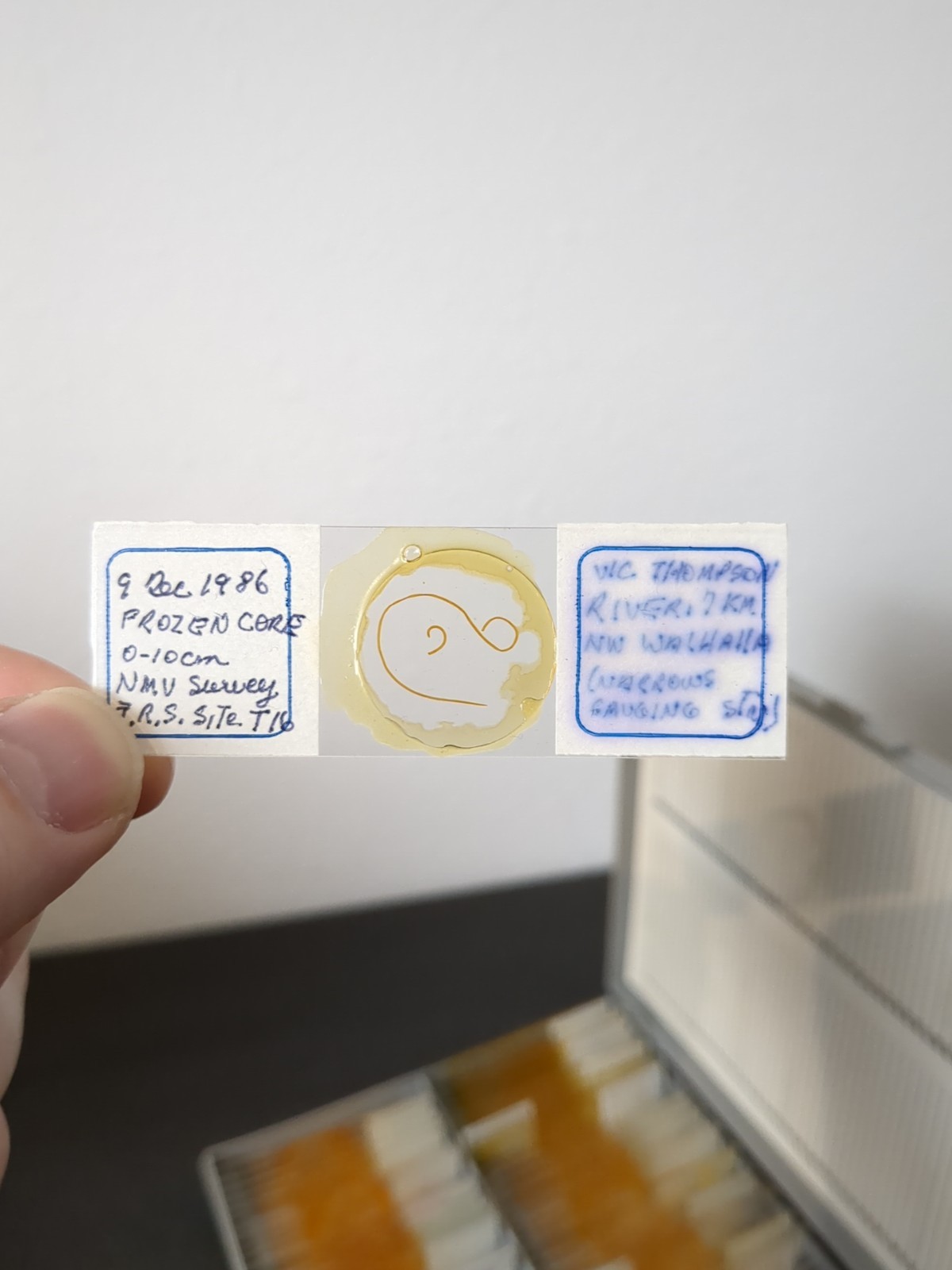 Vintage Prepared Microscope Glass Slides - George Poinar Jurassic Park Estate