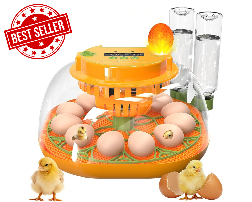 Incubators for Hatching Eggs, 12 Egg Incubator with Automatic Egg Turning