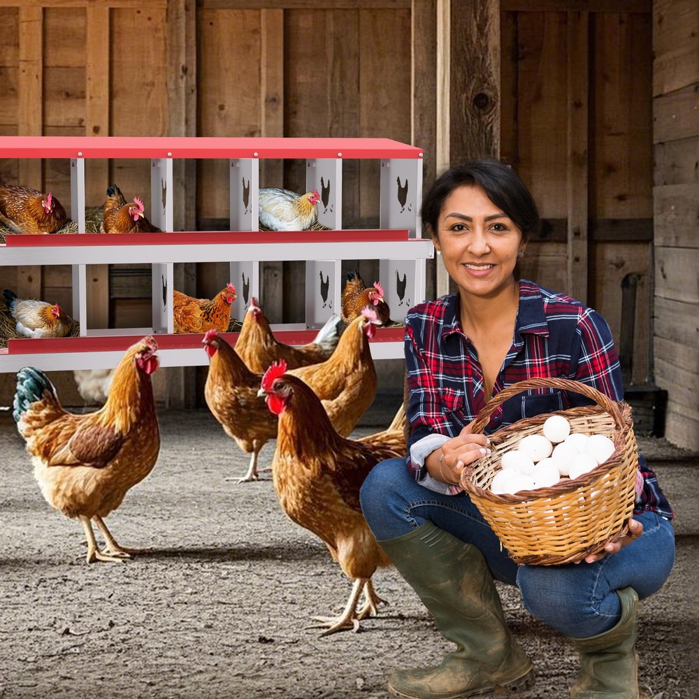 10 Holes Chicken Nesting Box, Metal Chicken Nesting Boxes, without Bracket Legs