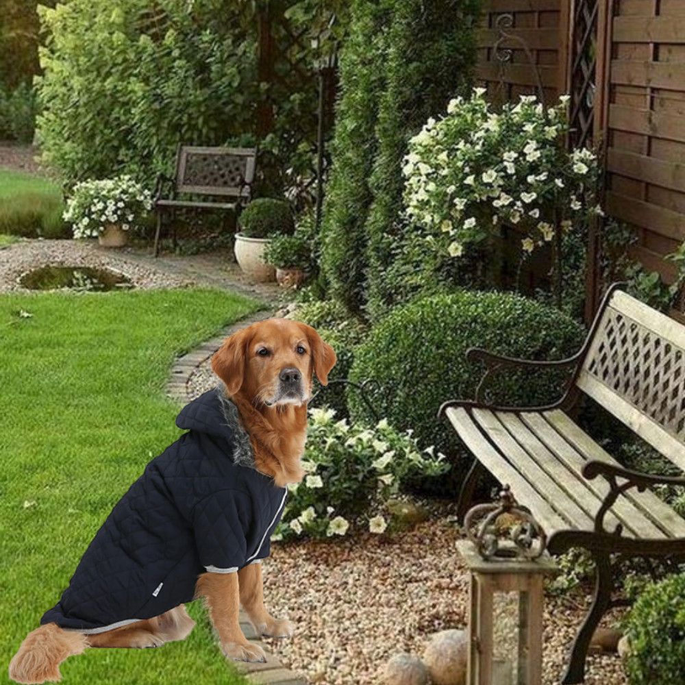 Navy Padded Dog Coat