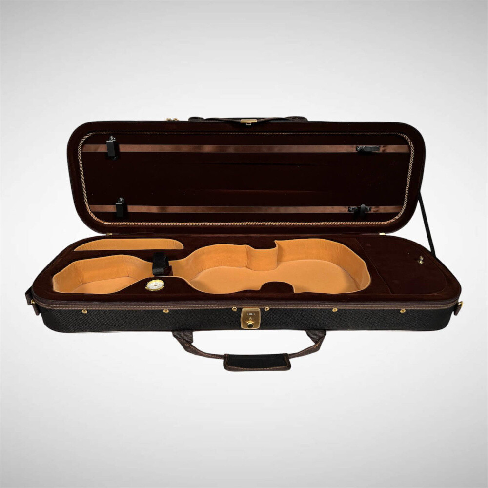 Petz 100VN case (case) for violin (violin)