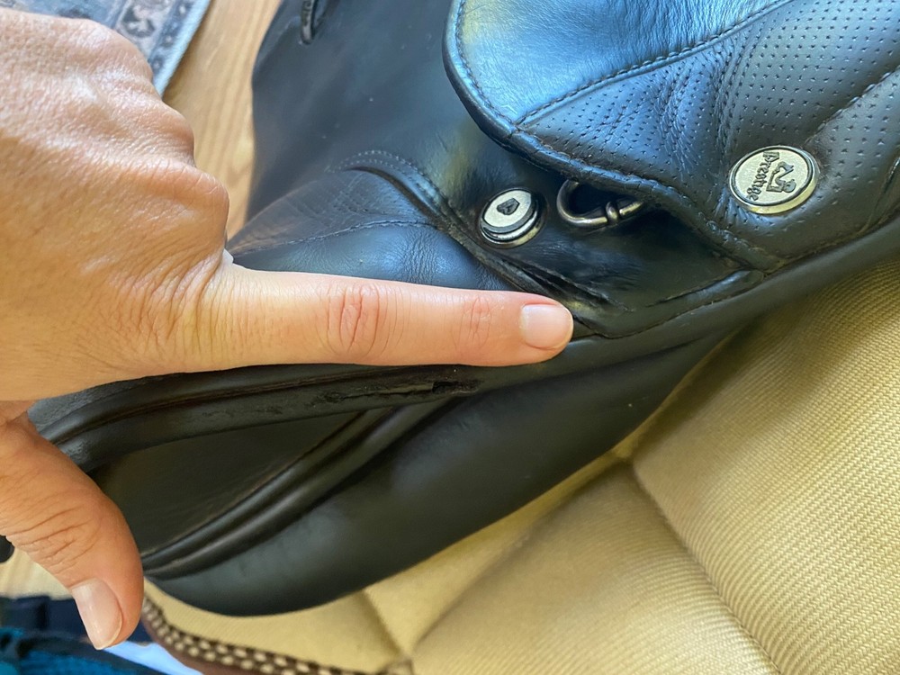 Prestige Michel Robert 1833 saddle