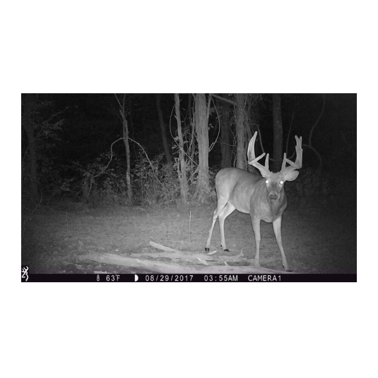 Browning Trail Cameras Strike Force Pro X Motion-Activated Camera (Camo) Bundle
