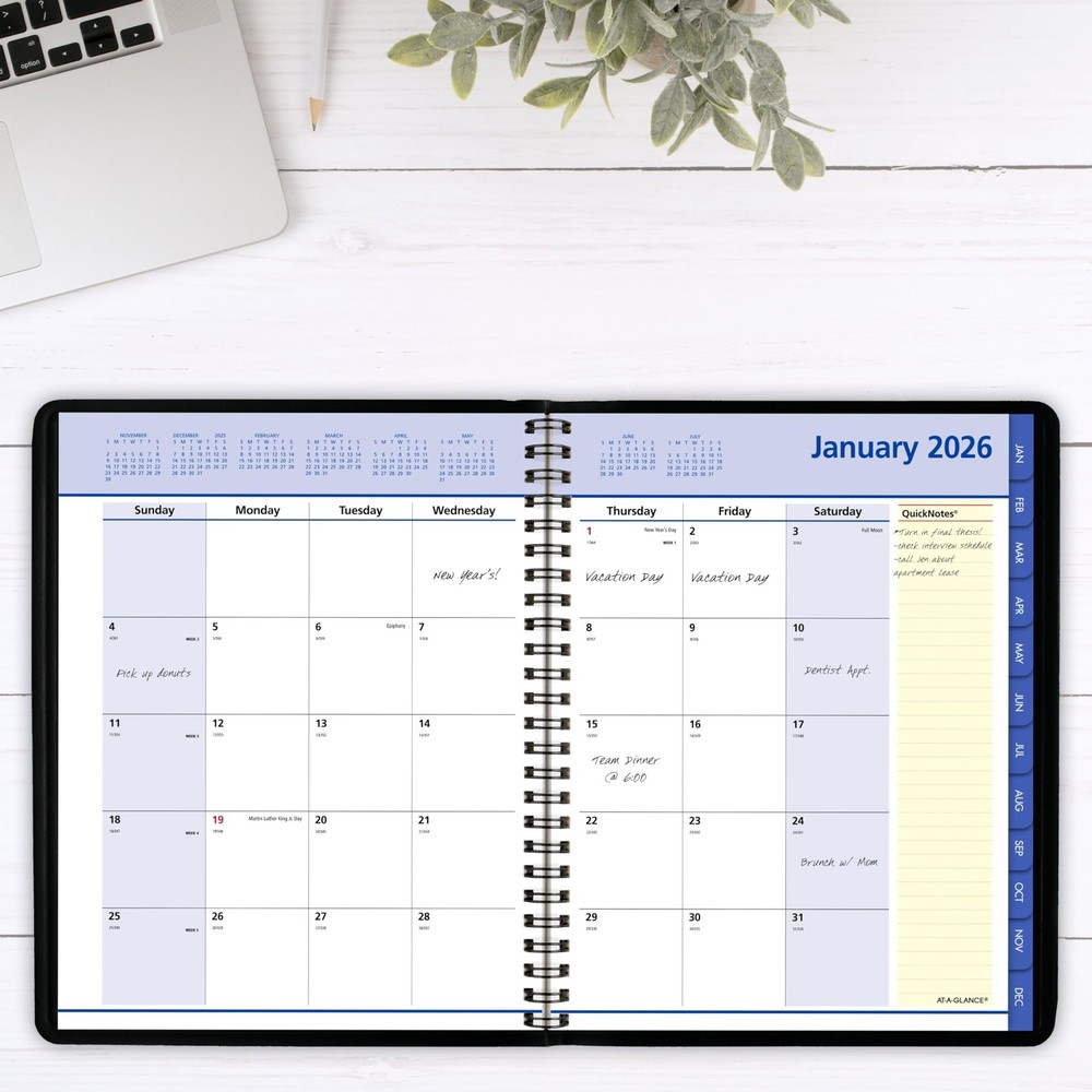 2026 Appointment Book Planner, Monthly, 7" x 8-3/4", Medium, QuickNotes, Blac...