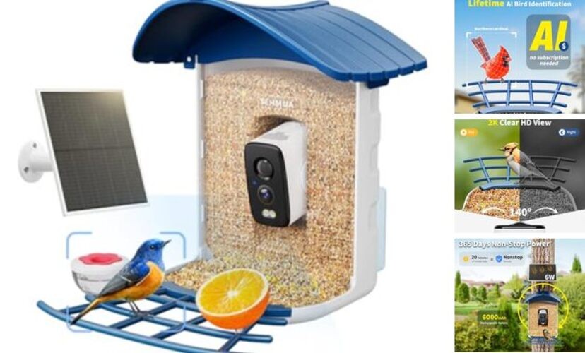 Bird Feeder with Camera-No Subscription Required for AI Identifies Bird Blue