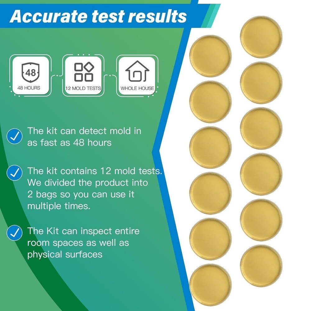 DIY Mold Detector - 12 Tests, Detailed Identification Guide