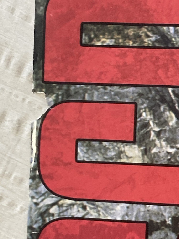 David Lee Roth Large 1988 Promo Poster Skyscraper Van Halen P