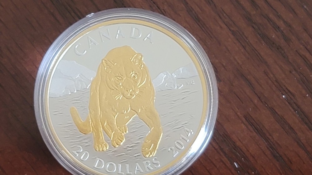 2014 RCM Cougar Set In Case