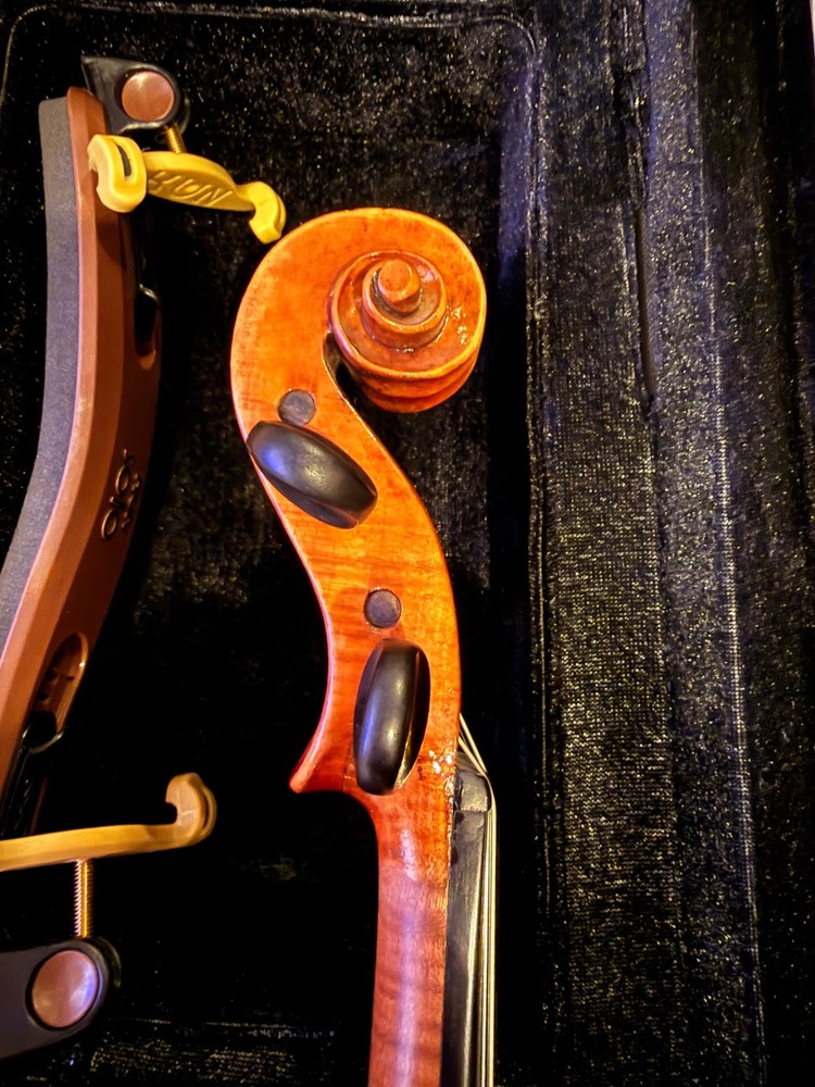 Violin labelled Alfredus Contino 1912