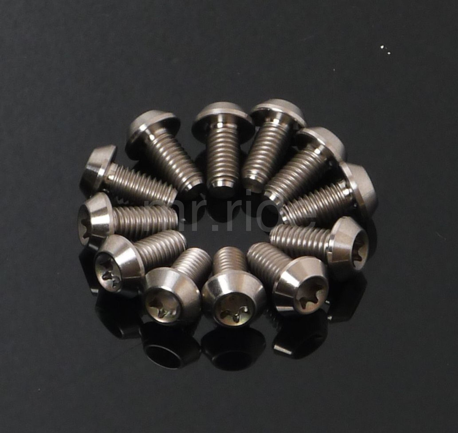 12Pcs MIT Titanium Ti T25 Torx M5x10 Rotor Disc Mountain Bike Brakes Bolts Screw