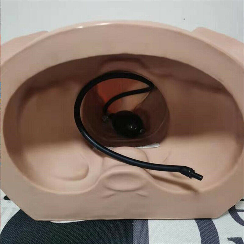 Advanced Vacuum Delivery Simulator Teaching Model Midwifery Training Simulator
